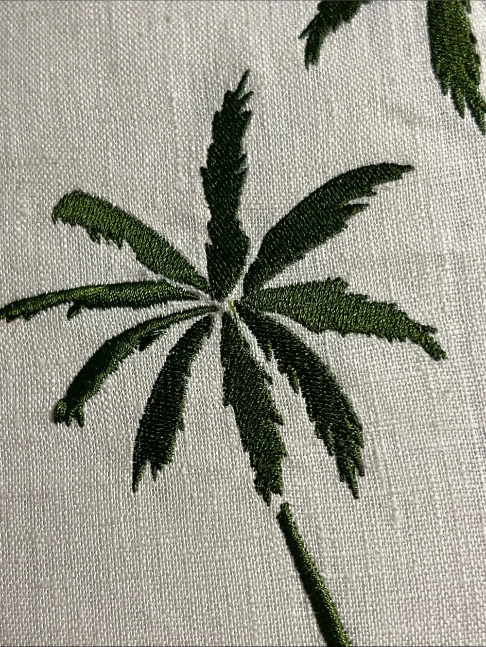 n/a palm breeze